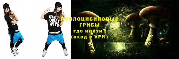 ECSTASY Абаза