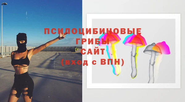 МДПВ Алексин