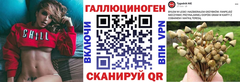 нарко площадка как зайти  Благодарный  Галлюциногенные грибы Psilocybe  где купить наркоту 